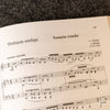 Duduk Repertoire With Piano Accompaniment: For Traditional and Extended Range Armenian Duduk (Volume 2) - Georgy Minasov- Dudukhouse-