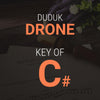 Duduk Dam in C# - MP3 Download for Practice and Performances