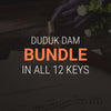 Duduk Dam Bundle in all 12 Keys - MP3 Download for Practice and Performances