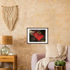 Duduk and Armenian Folk Songs Framed Art - Gelato - Dudukhouse - 
