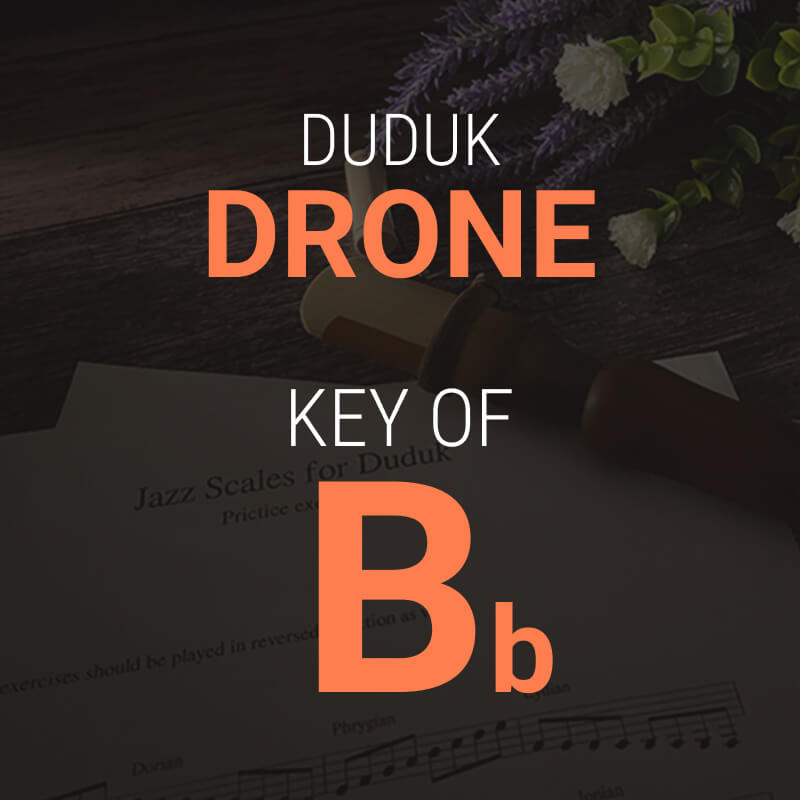 Duduk Drone in Bb - MP3 Download for Practice and Performances - Dudukhouse - Dudukhouse - 
