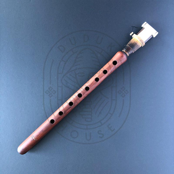 Duduk in B(H) | GGA - GGA - Dudukhouse - 